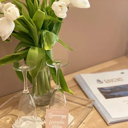 Maison d'hôtes Nelia Baveno