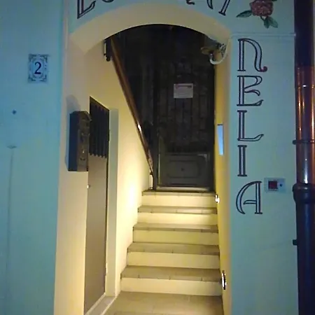 招待所 Nelia 4*