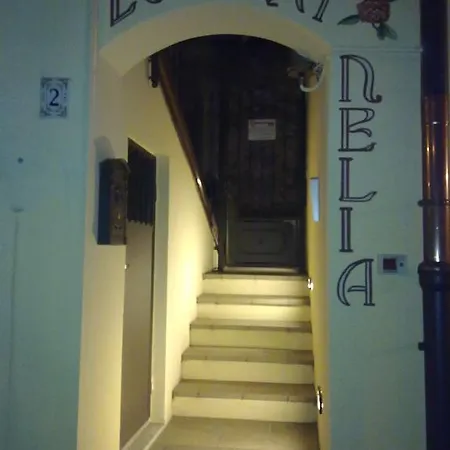 Nelia 招待所
